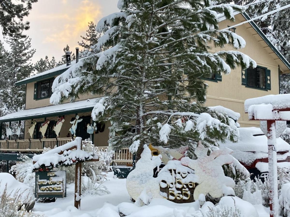 The Old Bear Bnb Pine Mountain Club Exteriör bild